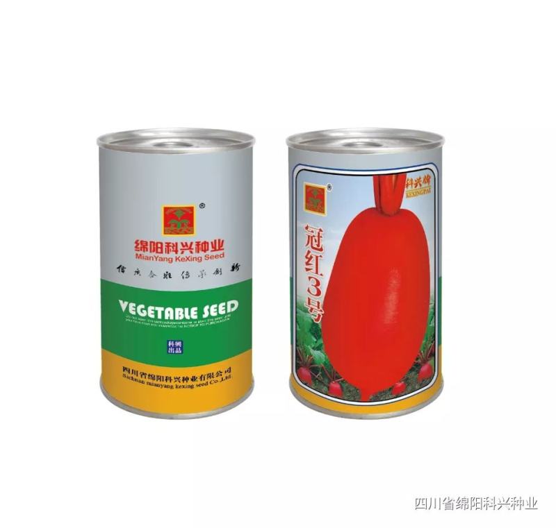 耐热红皮萝卜种子大红袍萝卜种子生长迅速四季可播