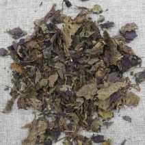 振兴药材购销中药材批发供应紫苏叶现货量大从优