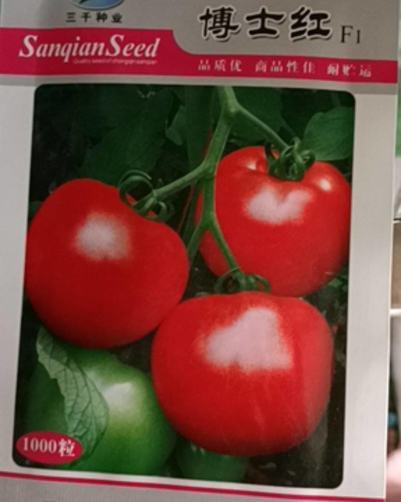 西红柿种子博士红1000粒