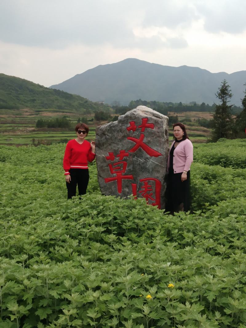 各种不同比例的优质艾绒，厂家直销，可零售可批发
