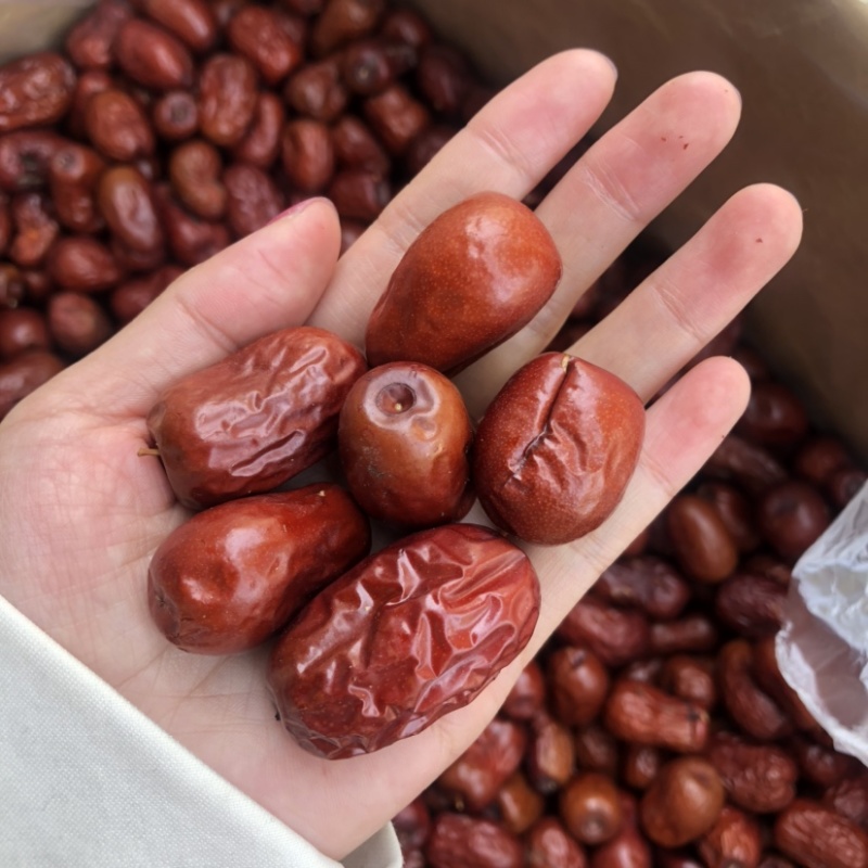新疆特产和田枣肉枣红枣灰枣江湖地摊一手货源批发