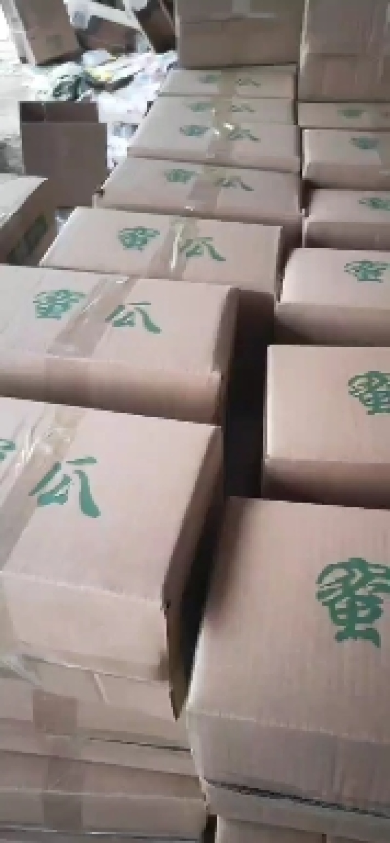 博洋六一，对接市场批发，零售，电商一件代发及挂链接，团