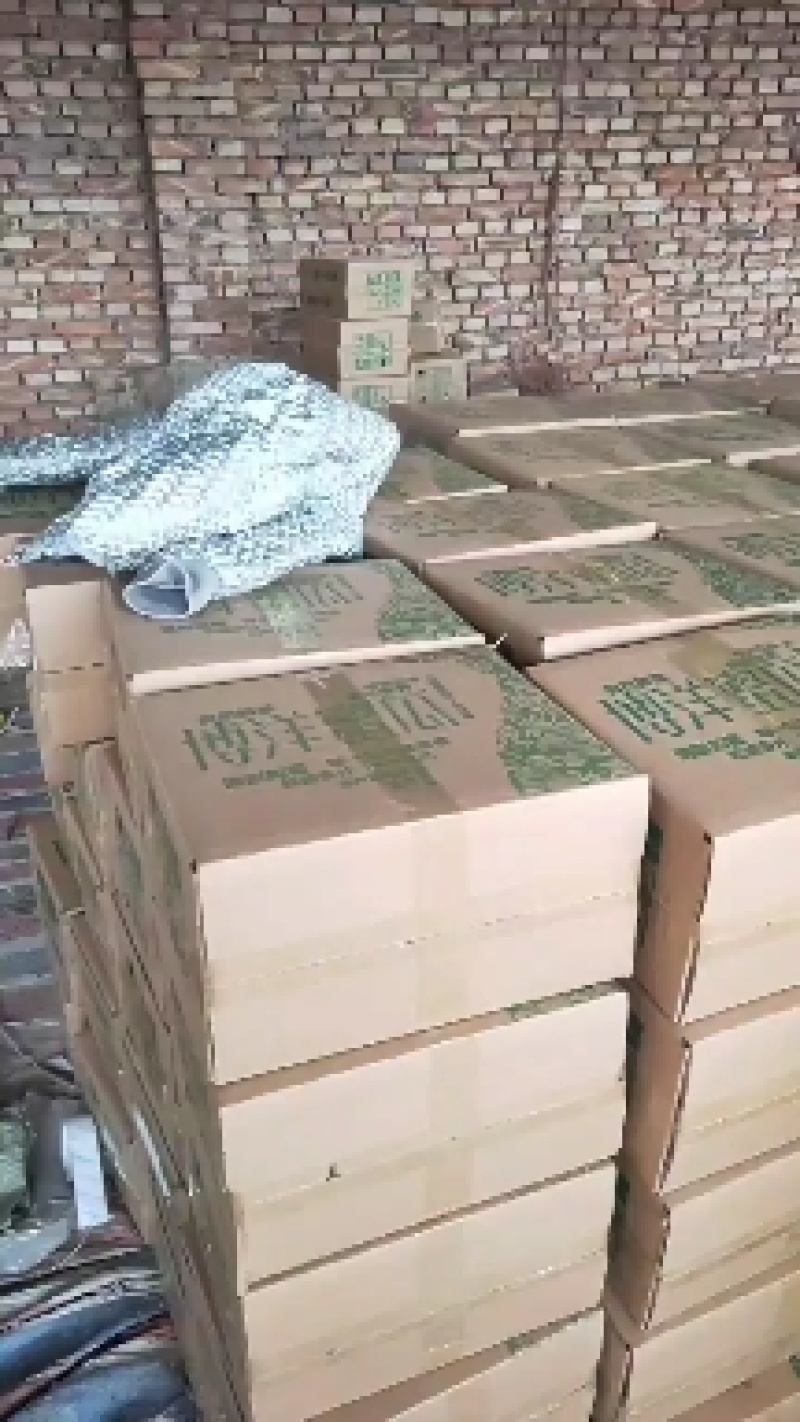 博洋六一，对接市场批发，零售，电商一件代发及挂链接，团