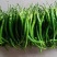 【精品】线椒大量上市，一手货源，品质保证，欢迎采购