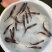 四川鸭嘴鱼匙吻鲟苗鸭嘴兽养殖基地直发生长速度快