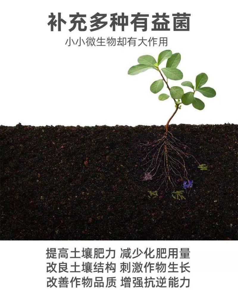 复合微生物肥料水溶肥底肥追肥通用颗粒蔬菜果树一手货源