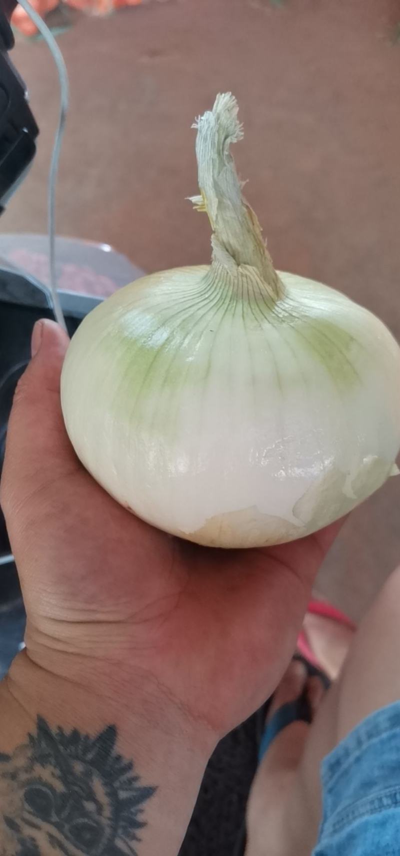 云南新鲜洋葱大量上市保质保量，欢迎实地考察，支持一件代发