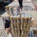 啤酒清凉一夏纯生啤酒小麦王啤酒500ml*9