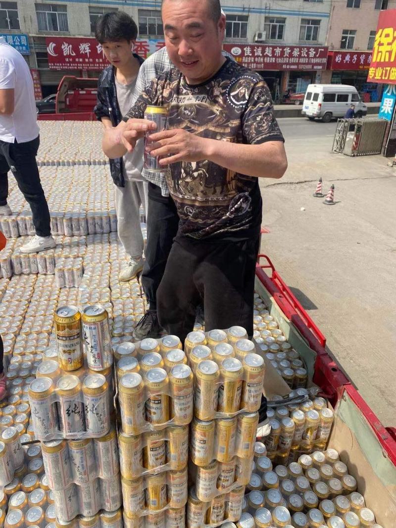 啤酒清凉一夏纯生啤酒小麦王啤酒500ml*9