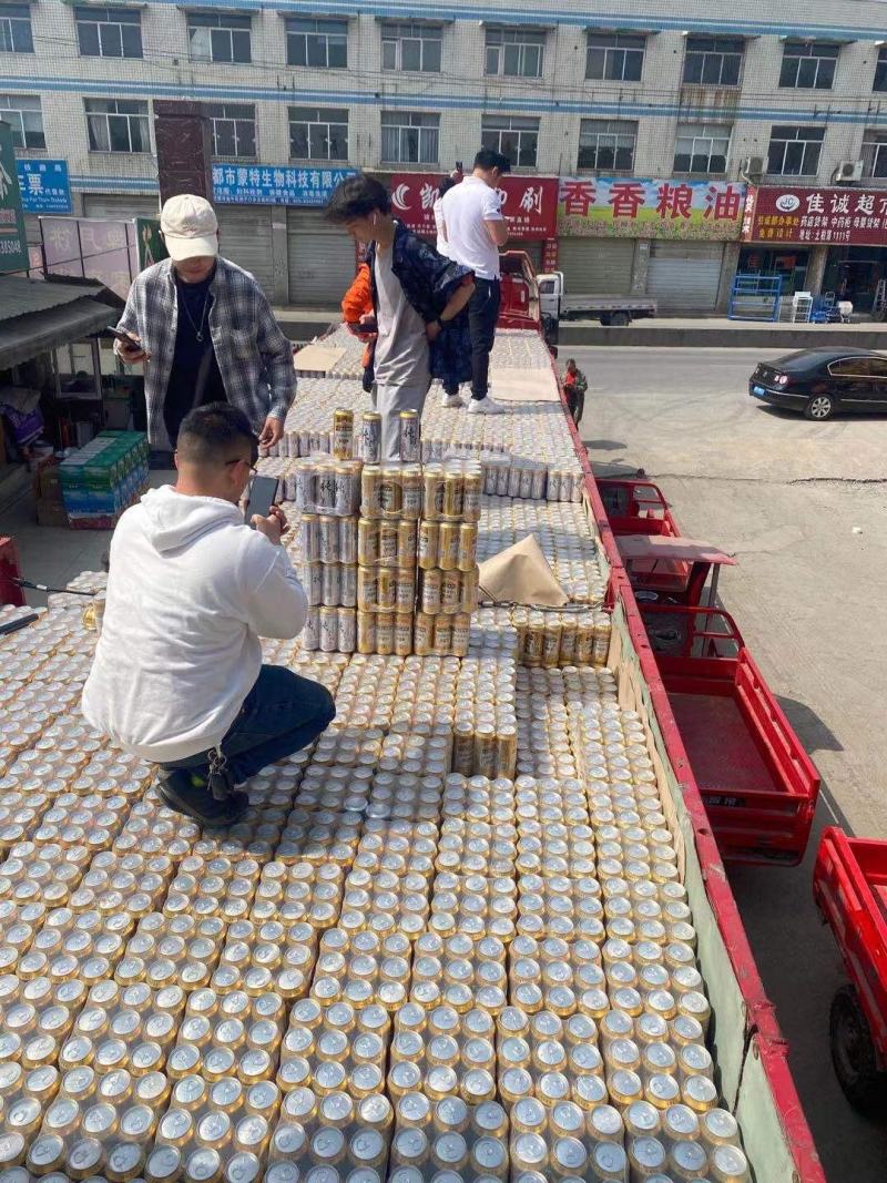 啤酒清凉一夏纯生啤酒小麦王啤酒500ml*9