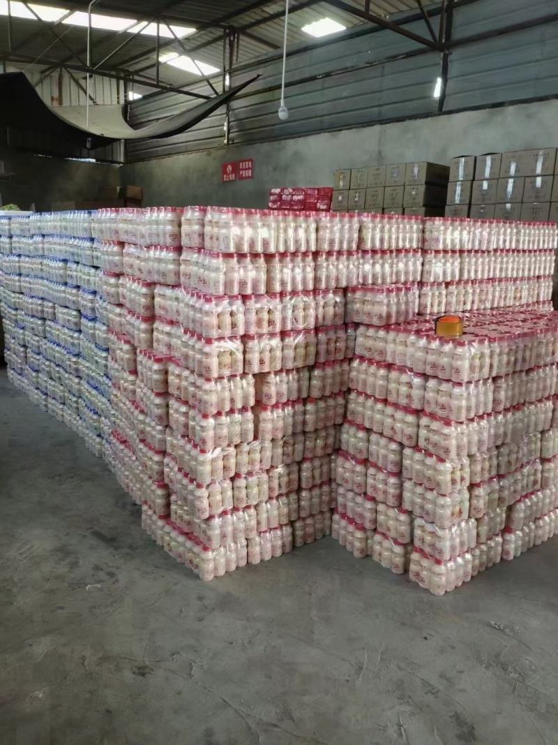 达利园乳酸菌饮料山东达利园加冠益生菌跑江湖厂家批发
