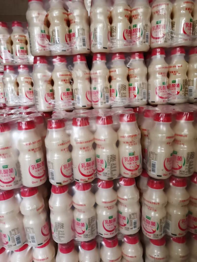 达利园乳酸菌饮料山东达利园加冠益生菌跑江湖厂家批发