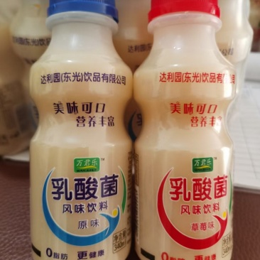 达利园乳酸菌饮料山东达利园加冠益生菌跑江湖厂家批发