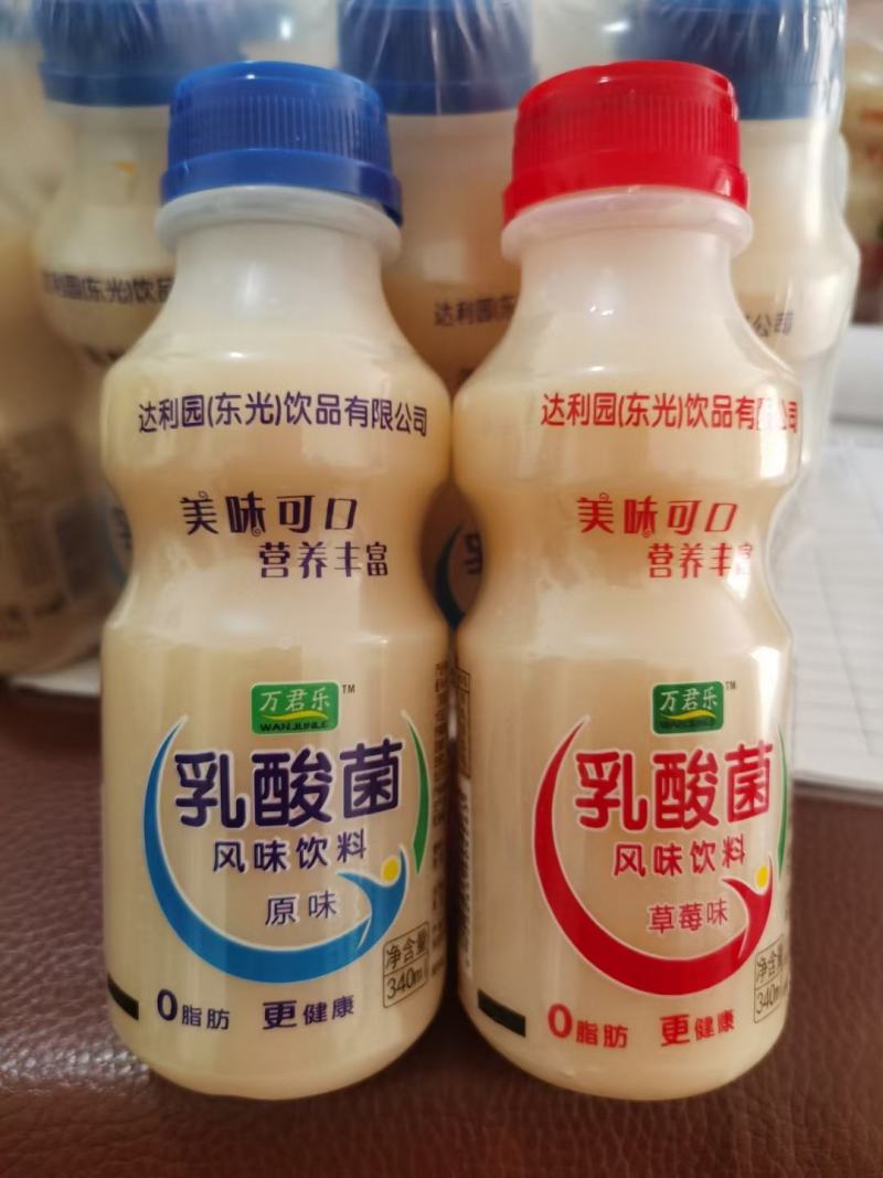 达利园乳酸菌饮料山东达利园加冠益生菌跑江湖厂家批发