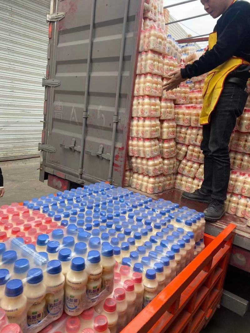 达利园乳酸菌饮料山东达利园加冠益生菌跑江湖厂家批发