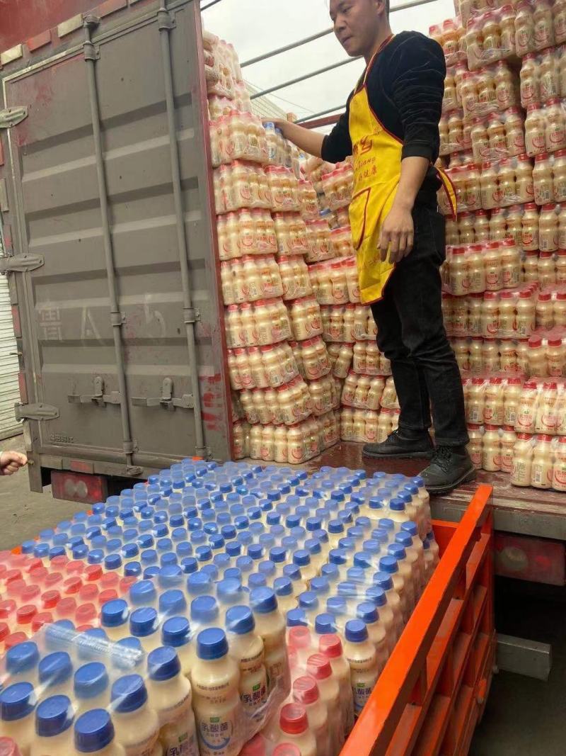 达利园乳酸菌饮料山东达利园加冠益生菌跑江湖厂家批发