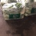 湖北汉川精品白菜苔最后一批迟菜苔