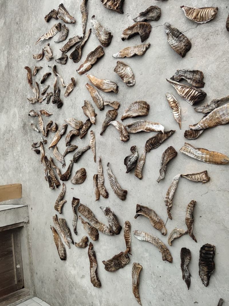 笋干，春笋，干笋