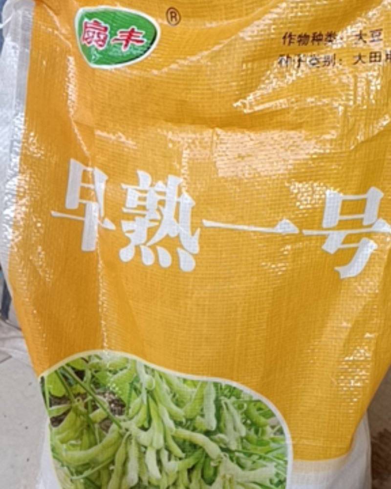 早熟一号，黄豆种子，磨豆浆豆腐70天收获