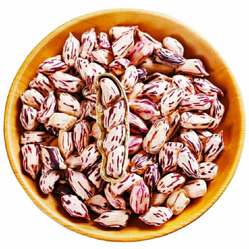 七彩花生农家自种晒干带壳生花生香甜美味可口可以做种