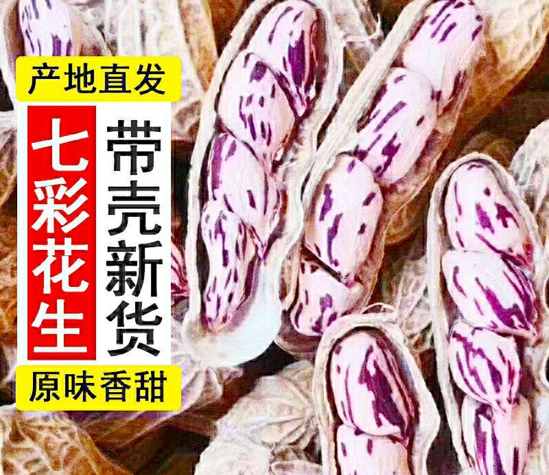 七彩花生农家自种晒干带壳生花生香甜美味可口可以做种