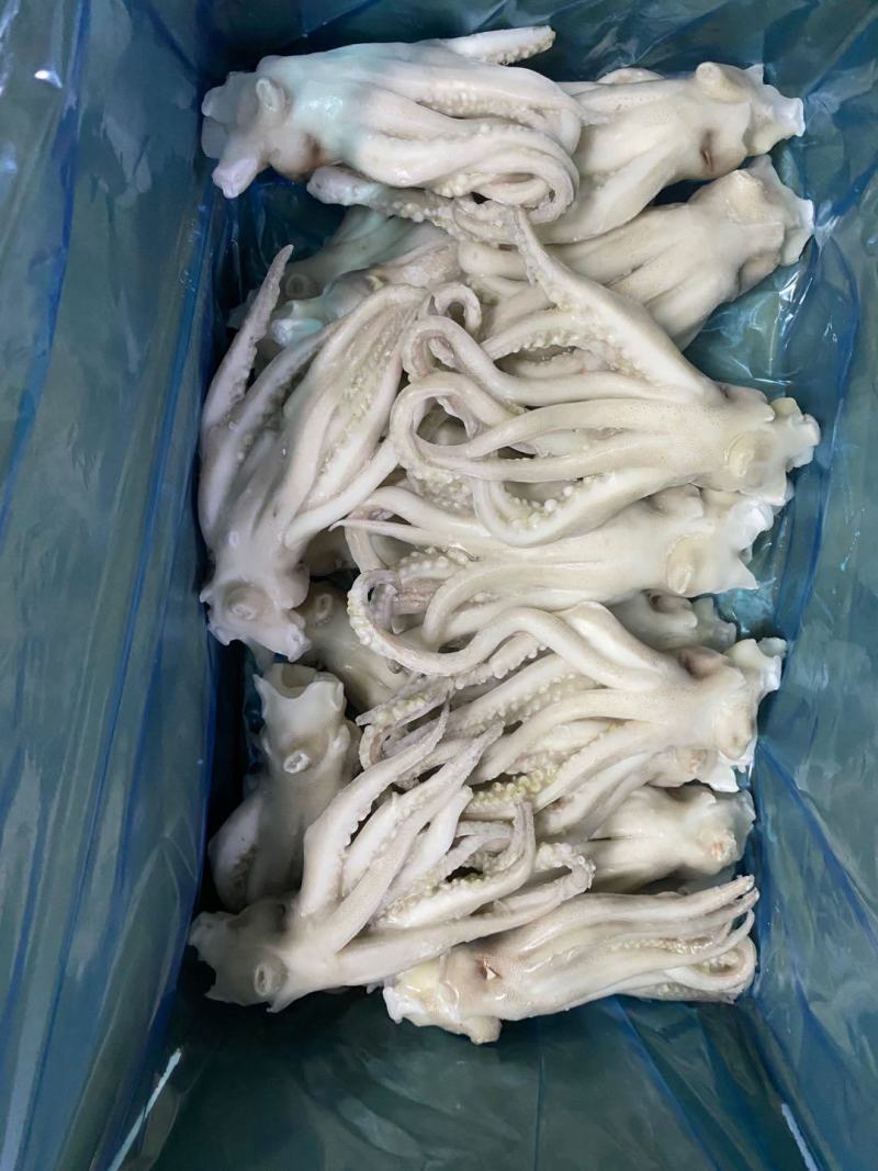 鱿鱼头冷冻大鱿鱼头鱿鱼脚鱿鱼爪铁板烧