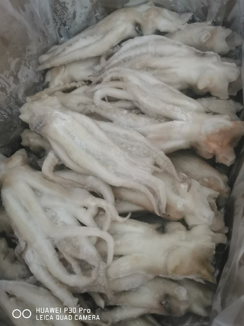 鱿鱼头冷冻大鱿鱼头鱿鱼脚鱿鱼爪铁板烧