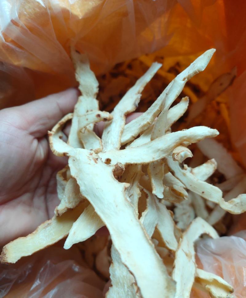 玉竹批发零售一手货源价格优惠