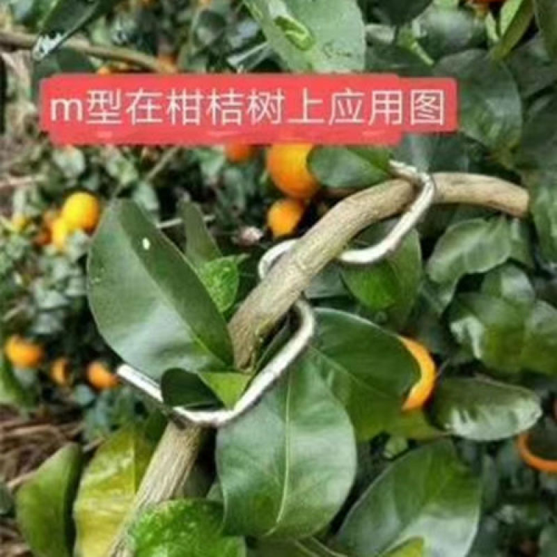 果树拉枝定型开角别枝器压枝弯枝钩夹神器苹果柑橘石榴盆景通