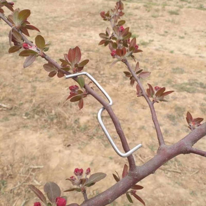 果树拉枝定型开角别枝器压枝弯枝钩夹神器苹果柑橘石榴盆景通