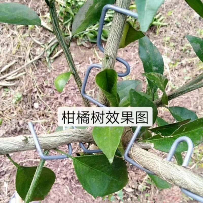 果树拉枝定型开角别枝器压枝弯枝钩夹神器苹果柑橘石榴盆景通