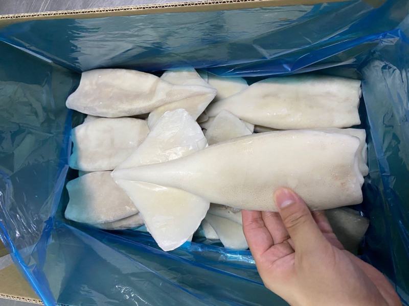 单冻速冻鱿鱼筒4.5kg/件