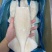 单冻速冻鱿鱼筒4.5kg/件