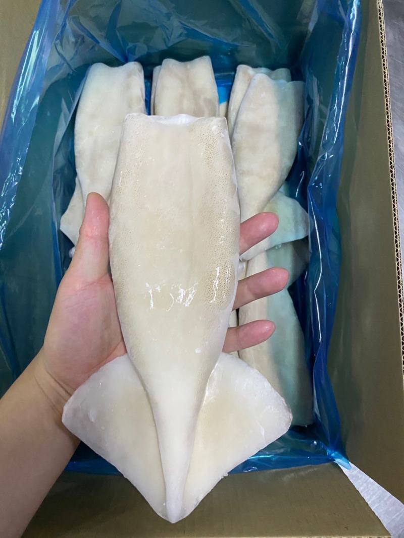 单冻速冻鱿鱼筒4.5kg/件