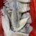 单冻速冻鱿鱼筒4.5kg/件