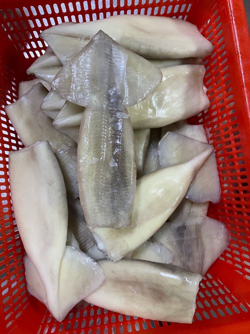 单冻速冻鱿鱼筒4.5kg/件