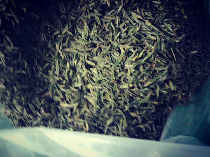 准河源头野山茶绿茶玉叶