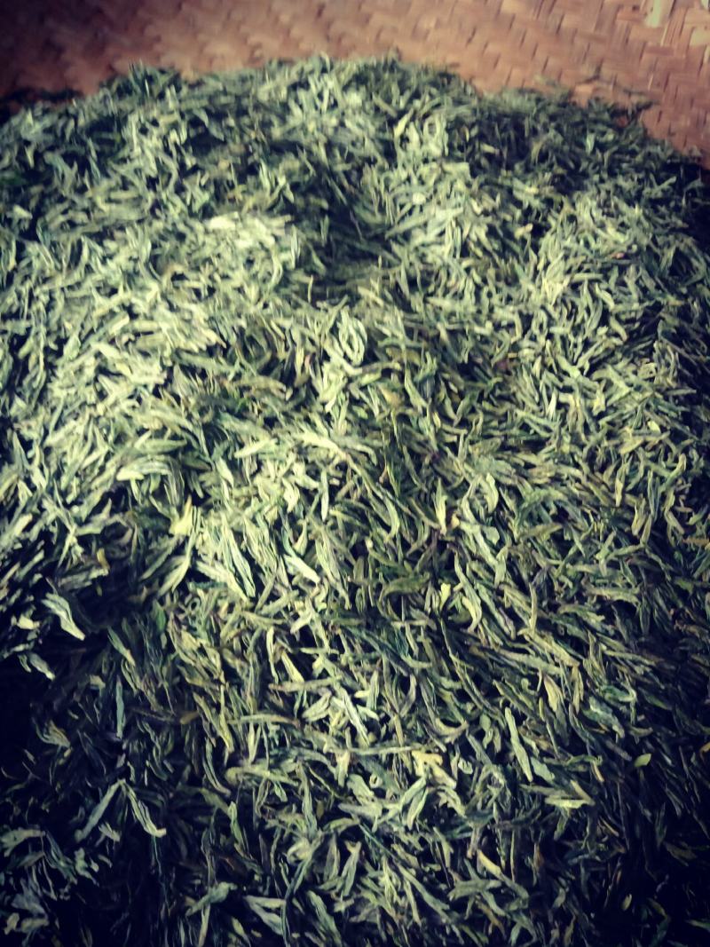 准河源头野山茶绿茶玉叶