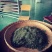 准河源头野山茶绿茶玉叶