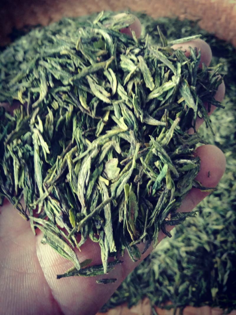 准河源头野山茶绿茶玉叶