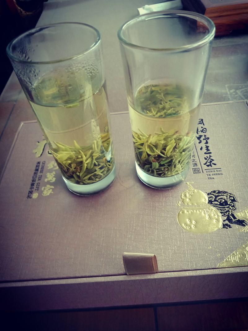 准河源头野山茶绿茶玉叶
