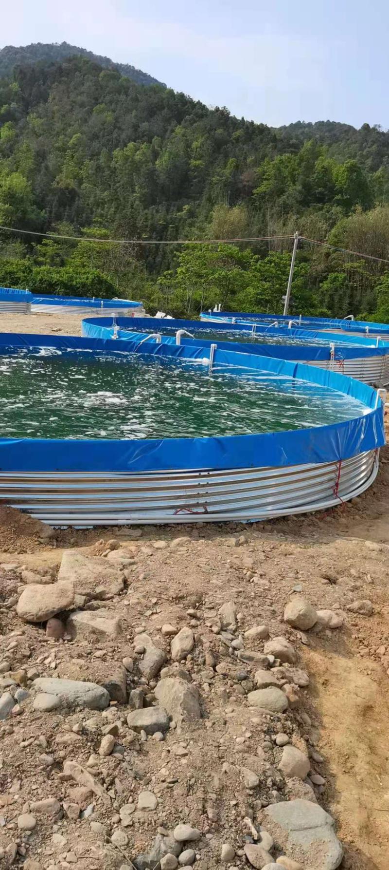 陆地水产养殖设备#高密度镀锌板帆布鱼池#养殖水箱