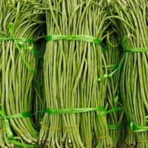 西双版纳景洪市橄榄坝长豆角9月大量上市