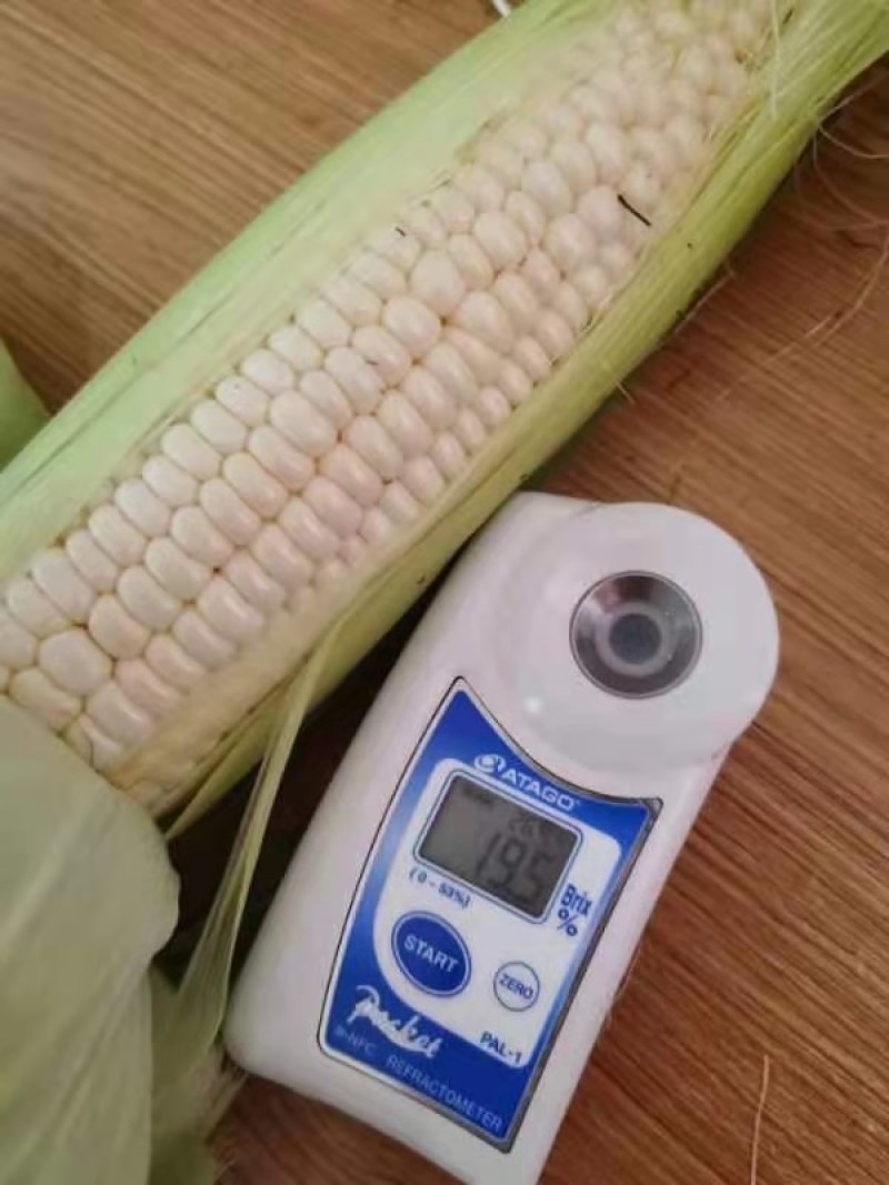 版纳大帝国无蔬菜水果不有