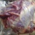 内蒙古草地牛肉，纯干