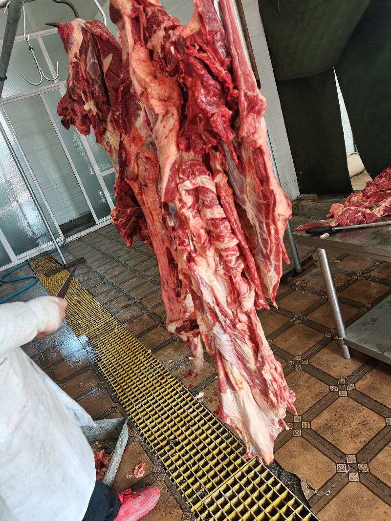 内蒙古草地牛肉，纯干