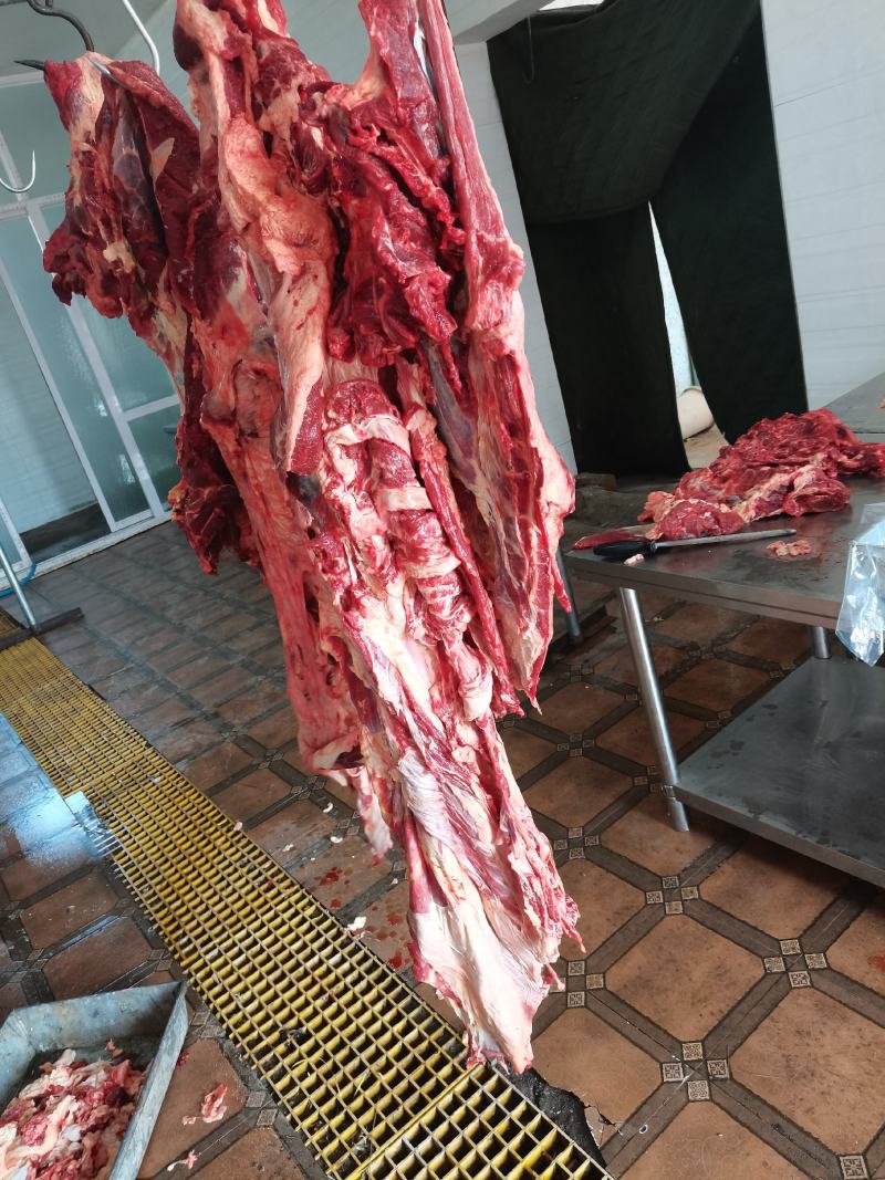 内蒙古草地牛肉，纯干
