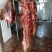 内蒙古草地牛肉，纯干