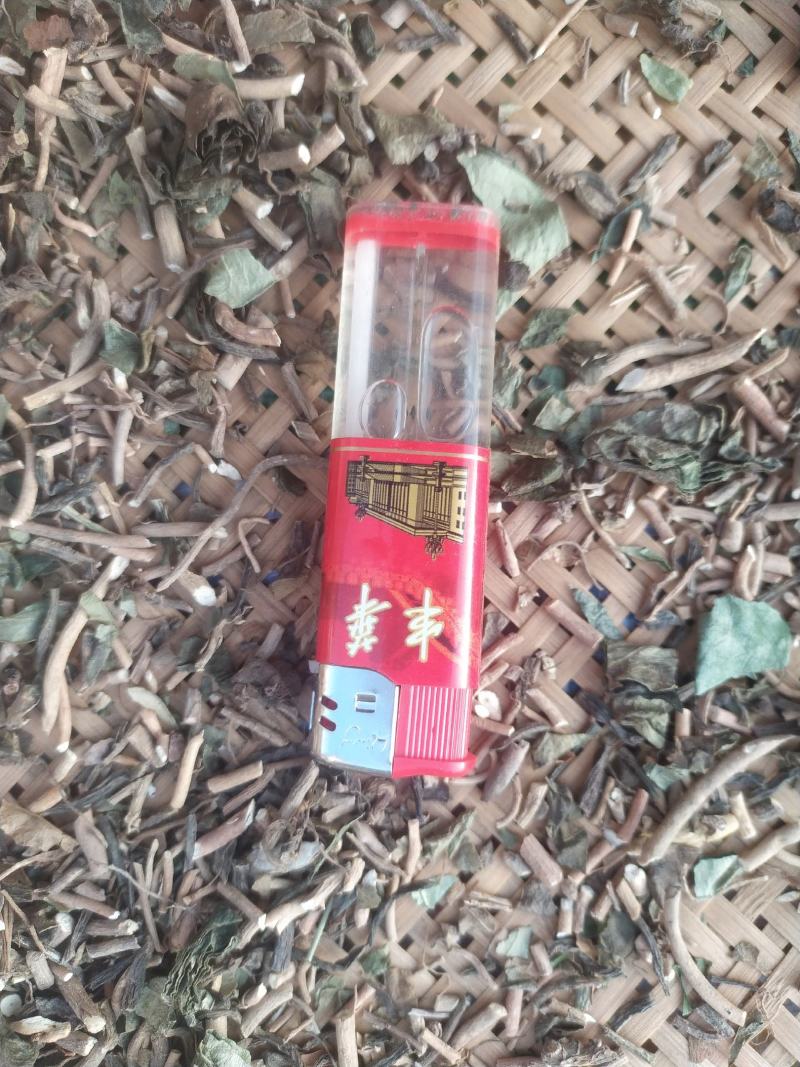苕叶细辛(马蹄细辛，大叶马蹄香)，全草带根统货，味浓性足