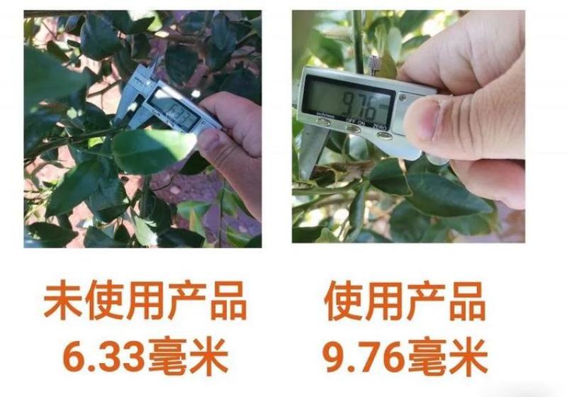 枯草芽孢杆菌调土壤防死棵抗重茬促生根